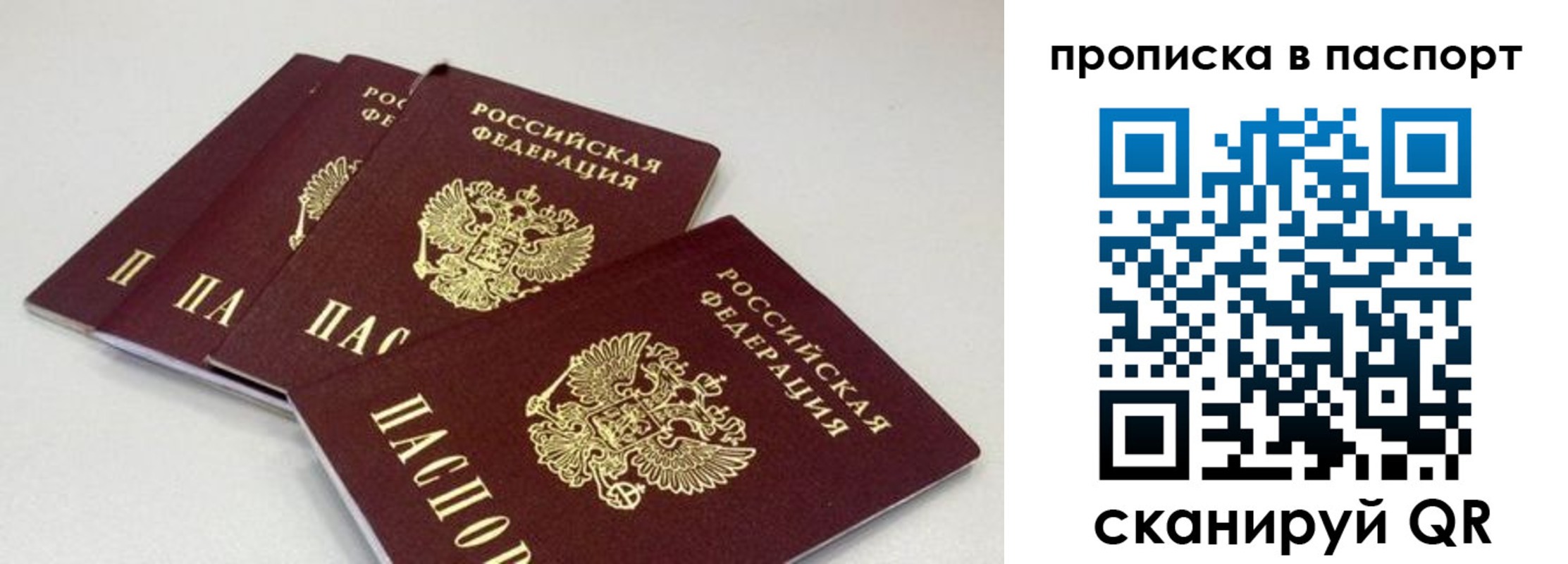 найти адрес прописки в Алейске